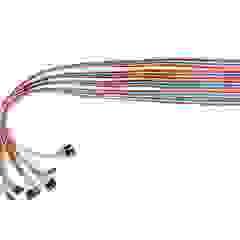 PTC064-1x8-4x14DIL Cable Assembly